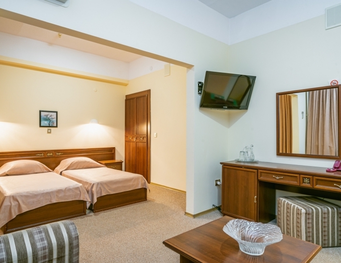 Полулюкс 2-местный 1,5 комнатный - Санаторий «Планета» Евпатория